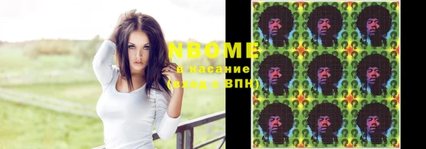 прущие грибы Нефтекумск