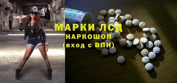 прущие грибы Нефтекумск