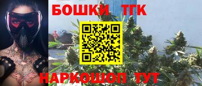 стаф Лесосибирск