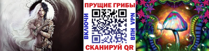 Псилоцибиновые грибы Magic Shrooms Находка
